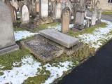 image of grave number 516689